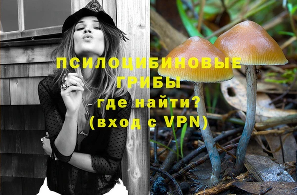 каннабис Богородицк